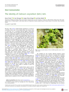 The Identity of Calicium Corynellum (Ach.) Ach
