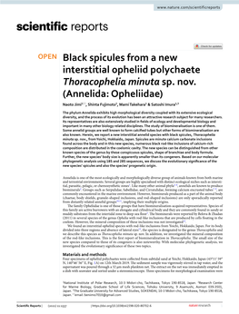 Black Spicules from a New Interstitial Opheliid Polychaete Thoracophelia Minuta Sp