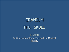 Craniumcranium