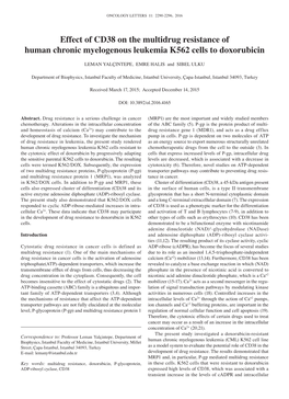 Effect of CD38 on the Multidrug Resistance of Human Chronic Myelogenous Leukemia K562 Cells to Doxorubicin