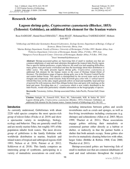 Lagoon Shrimp Goby, Cryptocentrus Cyanotaenia (Bleeker, 1853) (Teleostei: Gobiidae), an Additional Fish Element for the Iranian Waters