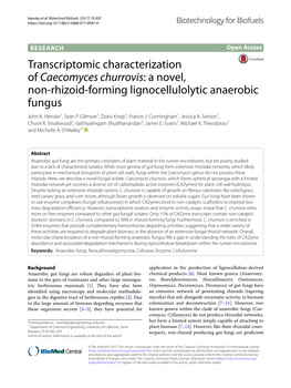 Transcriptomic Characterization of Caecomyces Churrovis: a Novel, Non‑Rhizoid‑Forming Lignocellulolytic Anaerobic Fungus John K