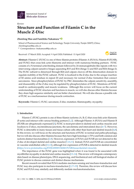 Structure and Function of Filamin C in the Muscle Z-Disc