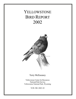 Yellowstone Bird Report 2002