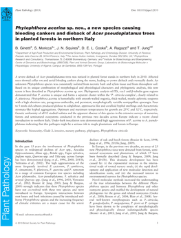 Phytophthora Acerina Sp. Nov., a New Species Causing Bleeding Cankers and Dieback of Acer Pseudoplatanus Trees in Planted Forests in Northern Italy