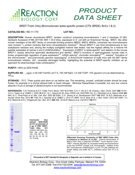 BRDT-Tndm (His) (Bromodomain Testis-Specific Protein (CT9, BRD6), Brd’S 1 & 2)