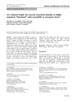 Are Common Fragile Sites Merely Structural Domains Or Highly Organized ‘‘Functional’’ Units Susceptible to Oncogenic Stress?