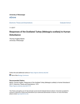 Responses of the Ocellated Turkey (Meleagris Ocellata) to Human Disturbance