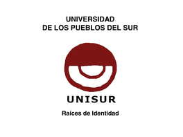 Que Es Unisur?