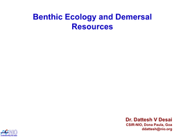 Benthic Ecology and Demersal Resources