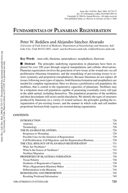 Fundamentals of Planarian Regeneration