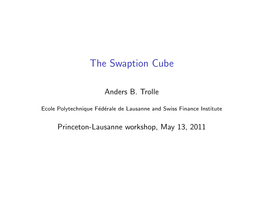 The Swaption Cube