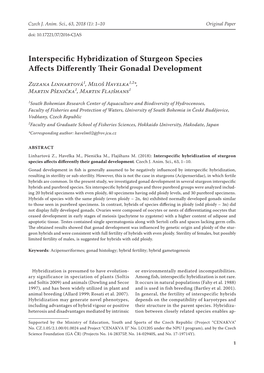 Interspecific Hybridization of Sturgeon Species Affects Differently Their Gonadal Development