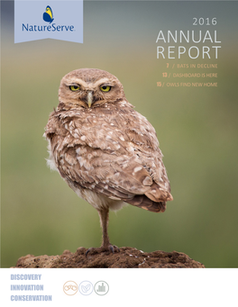 Annual Report 7 / Bats in Decline 13 / Dashboard Is Here 15 / Owls Find New Home