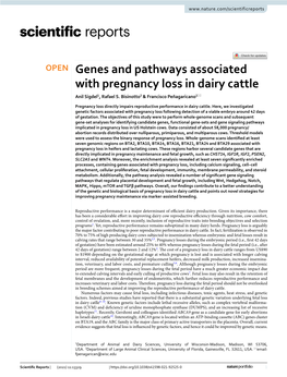 Genes and Pathways Associated with Pregnancy Loss in Dairy Cattle Anil Sigdel1, Rafael S