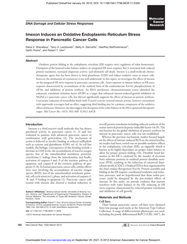 Imexon Induces an Oxidative Endoplasmic Reticulum Stress Response in Pancreatic Cancer Cells