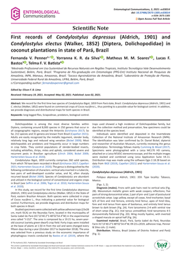 And Condylostylus Electus (Walker, 1852) (Diptera, Dolichopodidae) in Coconut Plantations in State of Pará, Brazil Fernanda V