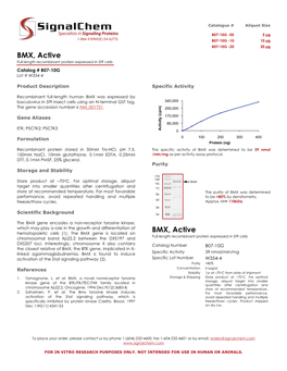 BMX, Active Full-Length Recombinant Protein Expressed in Sf9 Cells