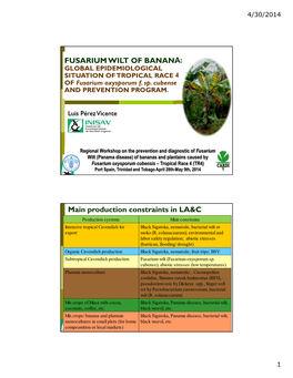 FUSARIUM WILT of BANANA: Main Production Constraints in LA&C