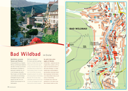 Bad Wildbad Im Enztal