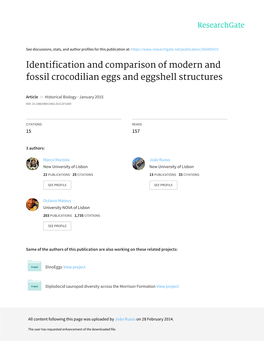 Identification and Comparison of Modern and Fossil Crocodilian Eggs and Eggshell Structures