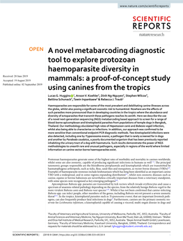 A Novel Metabarcoding Diagnostic Tool to Explore Protozoan