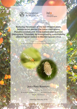 (De Lotto) (Hemiptera: Pseudococcidae) and Trioza Erytreae