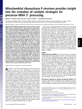 Mitochondrial Ribonuclease P Structure Provides Insight Into the Evolution of Catalytic Strategies for Precursor-Trna 5′ Processing