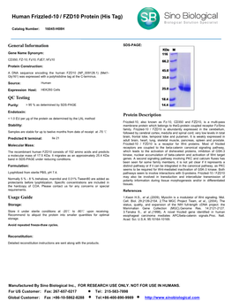 Human Frizzled-10 / FZD10 Protein (His Tag)