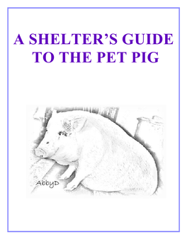 A Shelter's Guide to the Pet