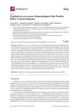 Staphylococcus Aureus Superantigen-Like Protein SSL1: a Toxic Protease