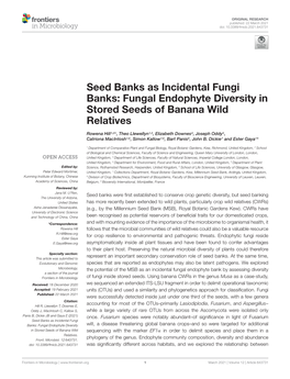 Seed Banks As Incidental Fungi Banks: Fungal Endophyte Diversity in Stored Seeds of Banana Wild Relatives