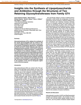 Insights Into the Synthesis of Lipopolysaccharide and Antibiotics Through the Structures of Two Retaining Glycosyltransferases from Family GT4