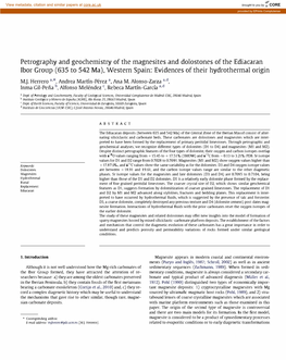 Petrography and Geochemistry of the Magnesites and Dolostones of the Ediacaran Ibor Group (635 to 542 Ma)