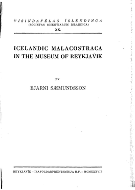 Icelandic Malacostraca in the Museum of Reykjavik
