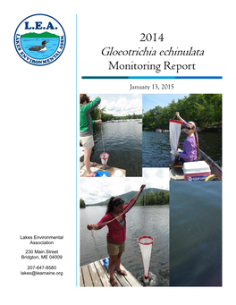 Gloeotrichia Echinulata Monitoring Report