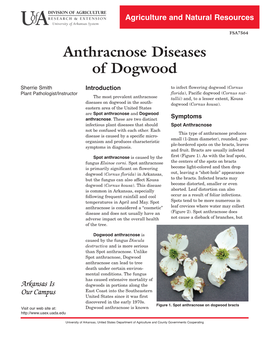 Anthracnose Diseases of Dogwood