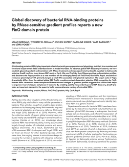 Global Discovery of Bacterial RNA-Binding Proteins by Rnase-Sensitive Gradient Profiles Reports a New Fino Domain Protein