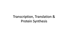 Transcription, Translation & Protein Synthesis