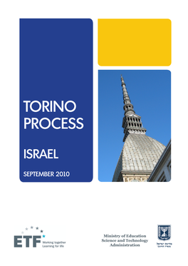 Torino Process