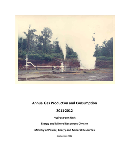 Annual Gas Production and Consumption 2011-2012