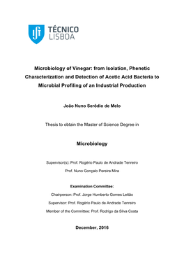 Microbiology of Vinegar: from Isolation, Phenetic Characterization and Detection of Acetic Acid Bacteria to Microbial Profiling of an Industrial Production