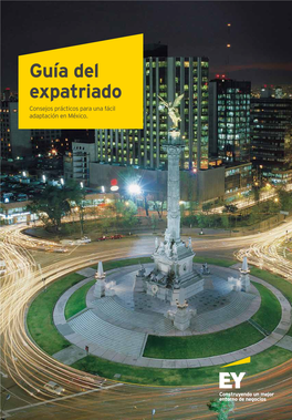 Guía Del Expatriado Consejos Prácticos Para Una Fácil Adaptación En México