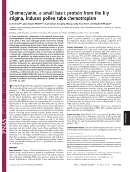 Chemocyanin, a Small Basic Protein from the Lily Stigma, Induces Pollen Tube Chemotropism