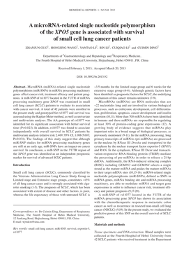 A Microrna‑Related Single Nucleotide Polymorphism of the XPO5 Gene Is Associated with Survival of Small Cell Lung Cancer Patients