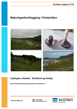 Naturtypekartlegging I Vesterålen