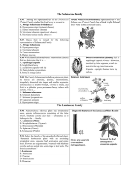 The Solanaceae Family the Lamiaceae Family