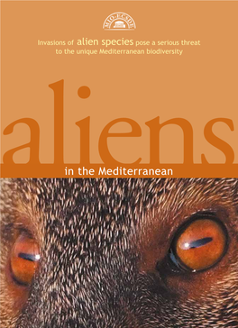 Aliens in the Mediterranean 5