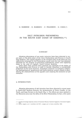 Salt Intrusion Phenomena in the South East Coast of Sardinia(