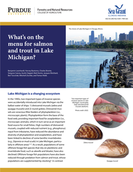 What's on the Menu for Salmon and Trout in Lake Michigan?